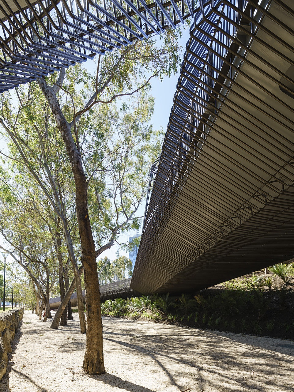 tanderrum pedestrian bridge by john wardle architects nadaaa