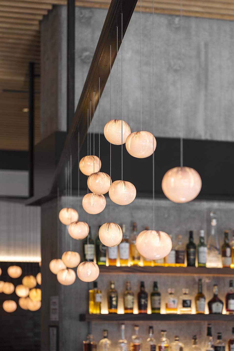 wild ginger denny triangle by skb architects