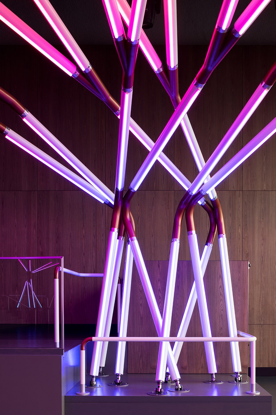 rhizomatic grid for terminal 7 club by estudio guto requena