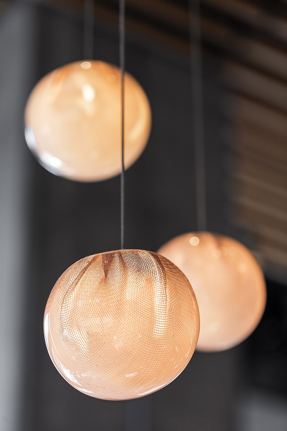 wild ginger denny triangle by skb architects