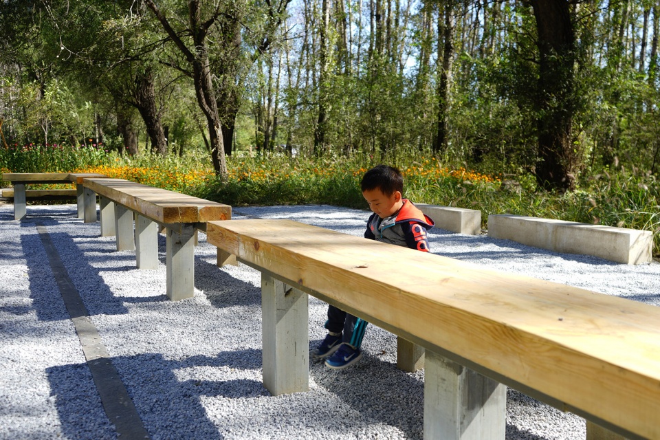 reconnect children with nature urban forest planning and design with the theme of environmental education china by chinese academy of for...