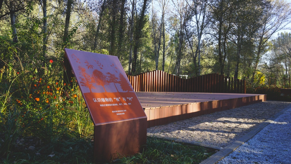 reconnect children with nature urban forest planning and design with the theme of environmental education china by chinese academy of for...