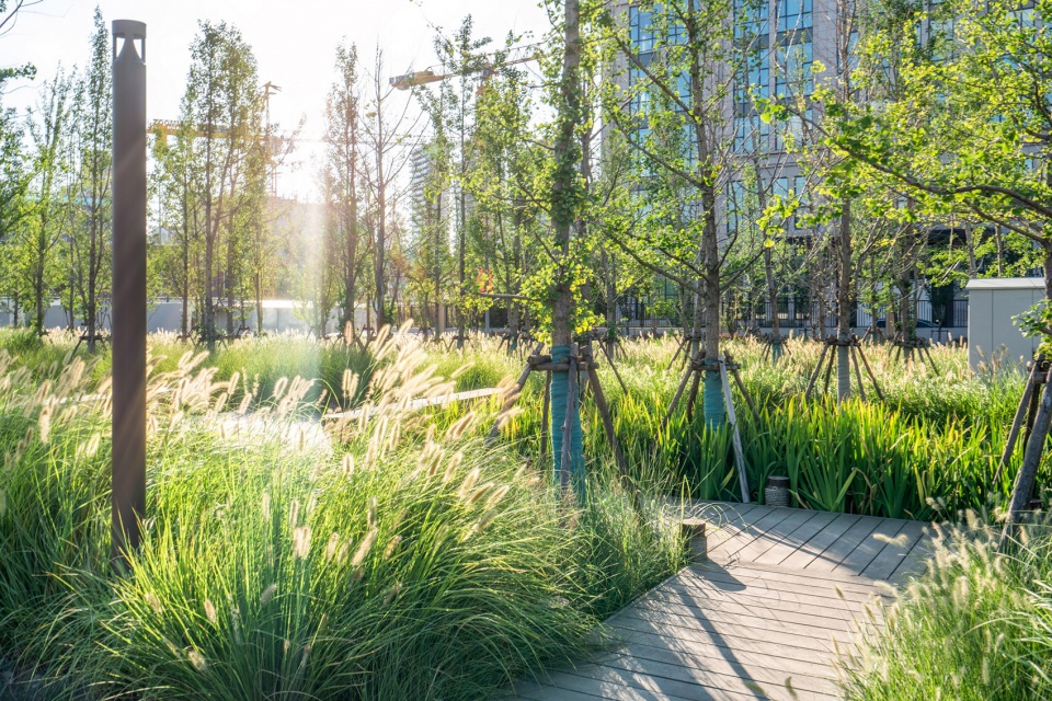 public space of yangpu riverfront south section phase ii china by daguan landscape design