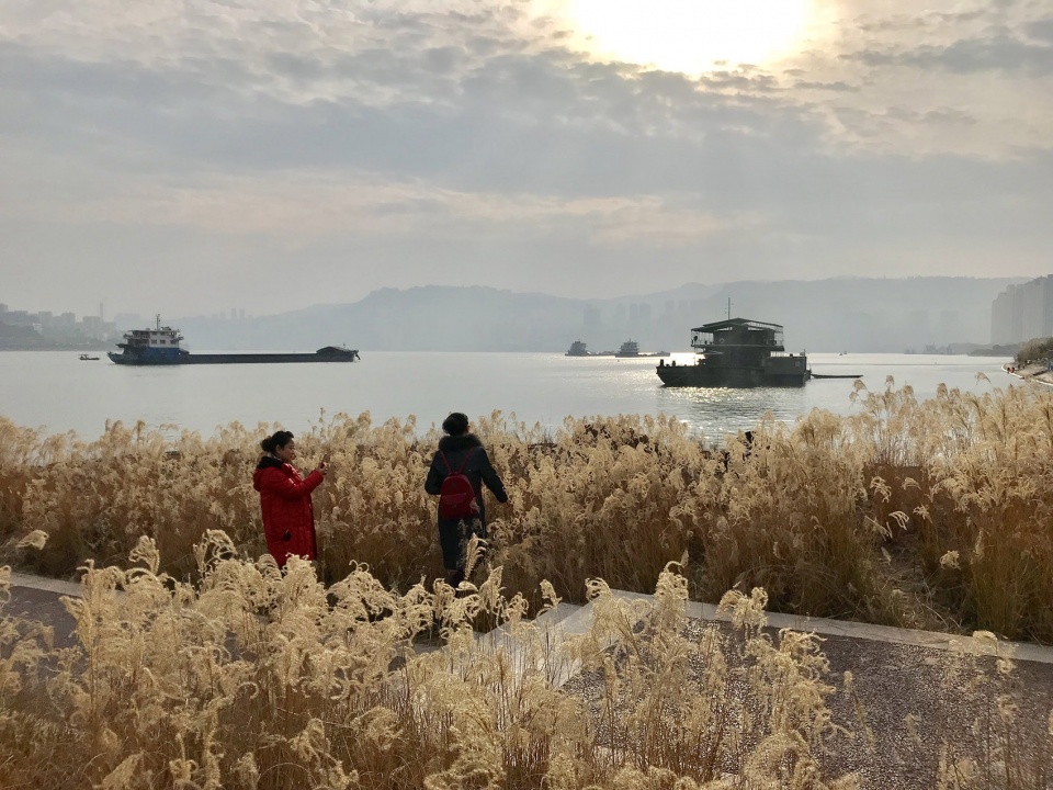landscape design of chongqing second wanzhou yangtze river bridge waterfront ecological park china by chongqing haofeng planning and desi...