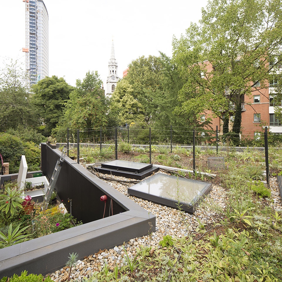 phoenix garden community centre by office sian