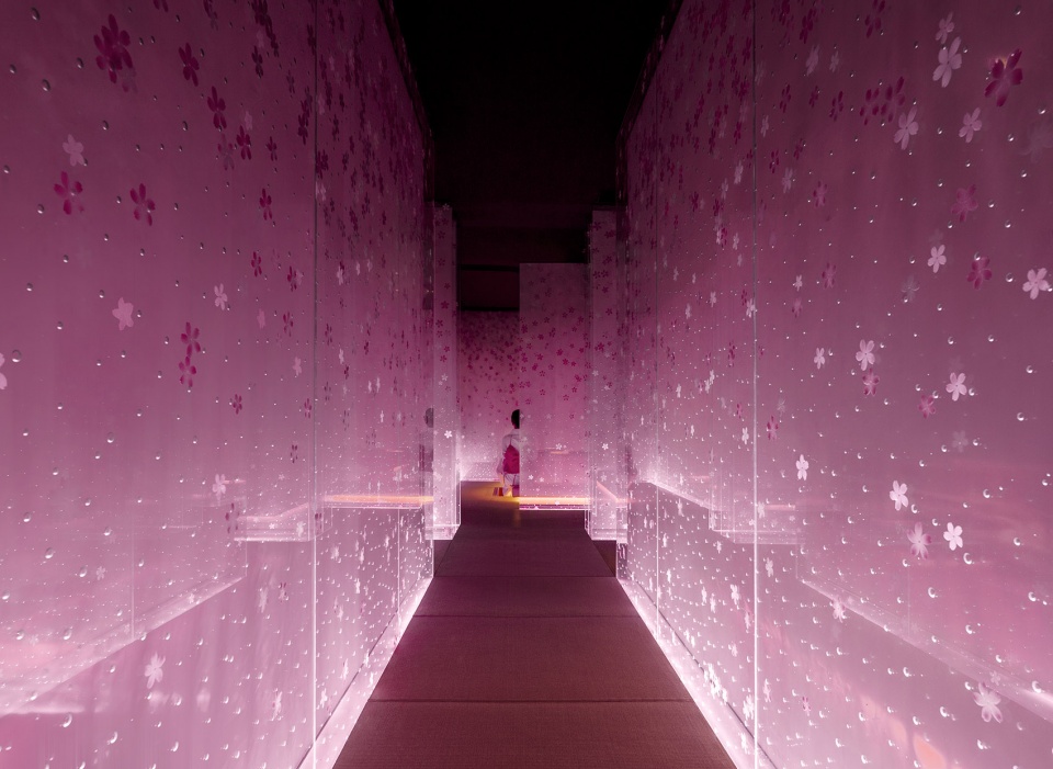omakase in shanghai china by shanghai hip pop design team