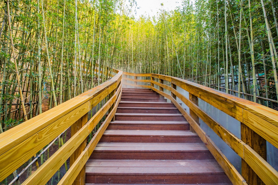 shenzhen longhua greenway yangtaishan section china by lay out planning consultants co ltd