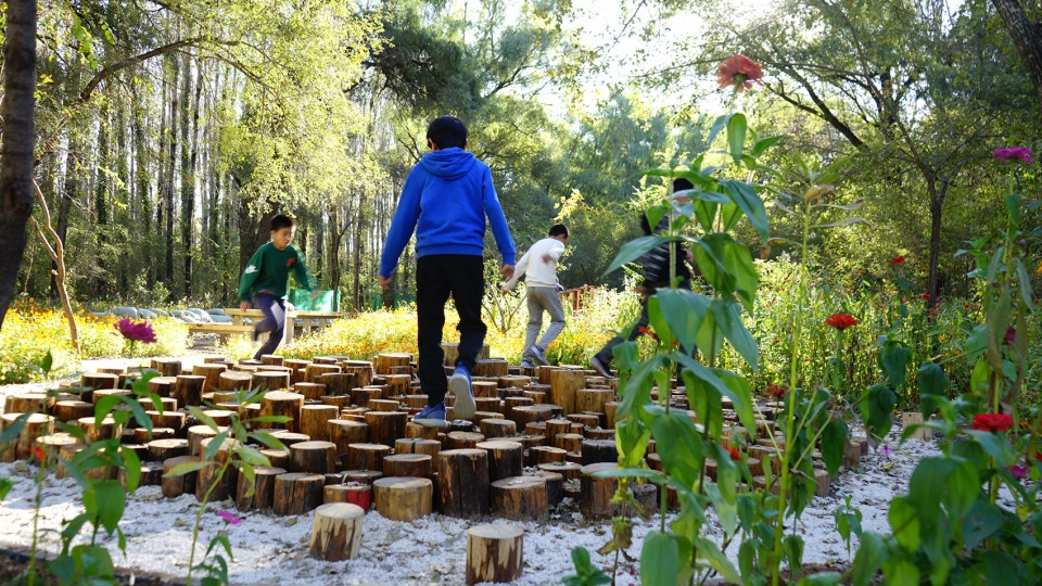 reconnect children with nature urban forest planning and design with the theme of environmental education china by chinese academy of for...