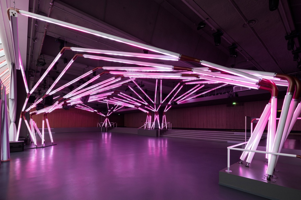 rhizomatic grid for terminal 7 club by estudio guto requena