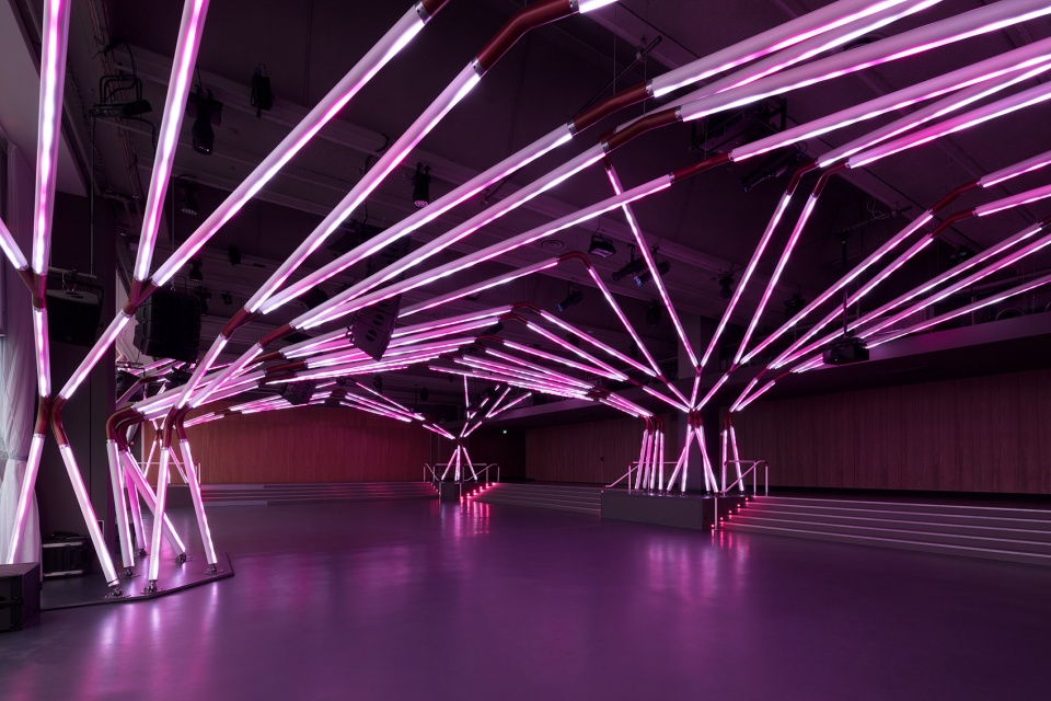 rhizomatic grid for terminal 7 club by estudio guto requena