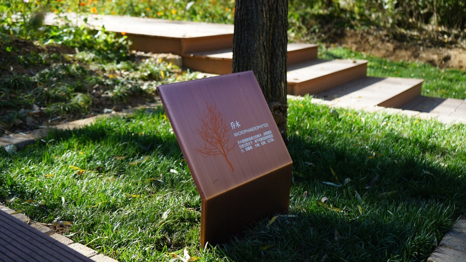 reconnect children with nature urban forest planning and design with the theme of environmental education china by chinese academy of for...