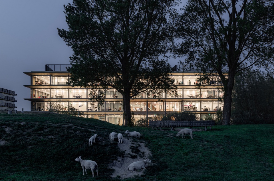 asicsemeahqnominatedforframeawards2020