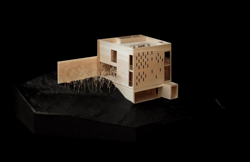 casa cv by s ar carlos valdez