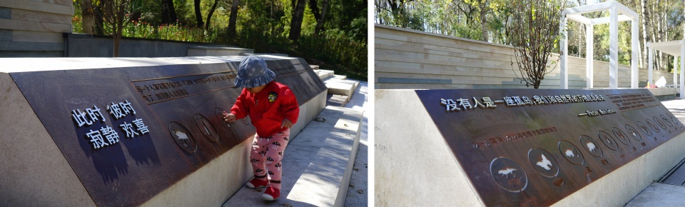 reconnect children with nature urban forest planning and design with the theme of environmental education china by chinese academy of for...