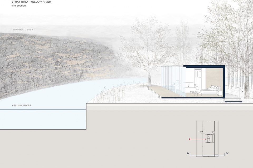 stray bird yellow river china by studio qi