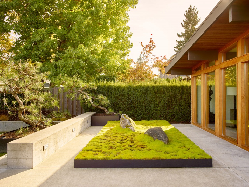 art collectors retreat by rerucha studio