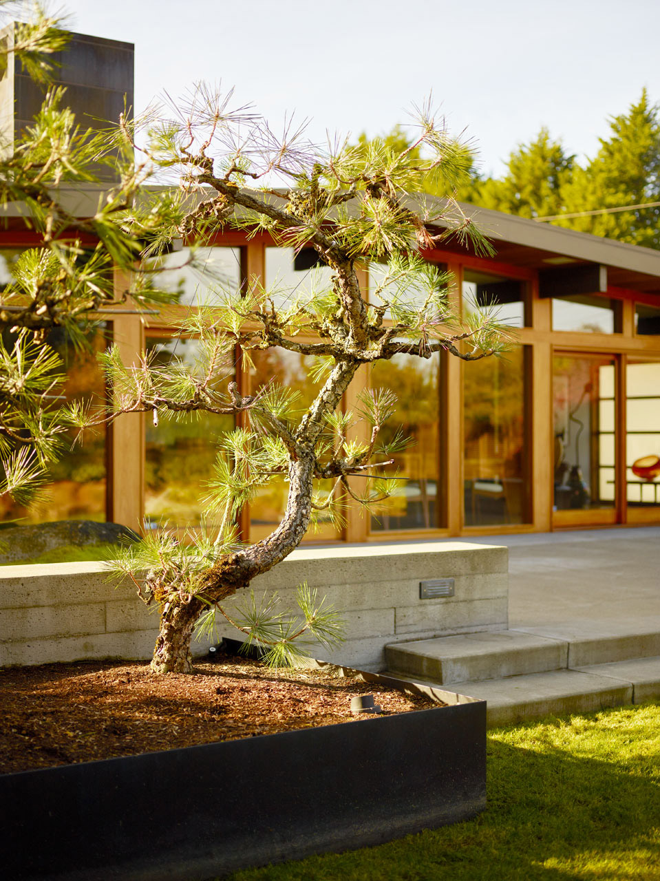art collectors retreat by rerucha studio