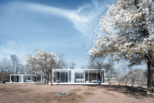stray bird yellow river china by studio qi