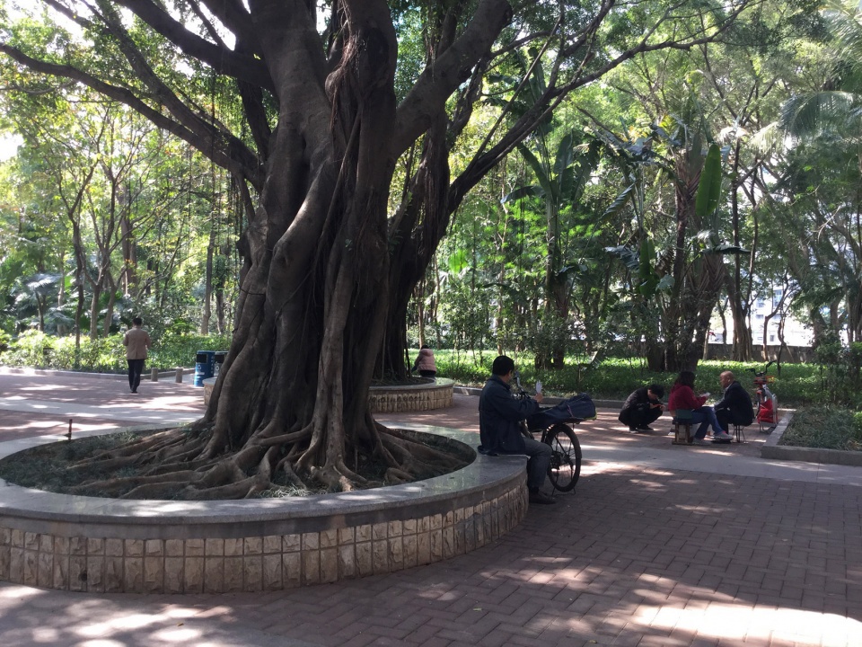 luohu san heng si zong streetscape upgrading china by sed landscape architect
