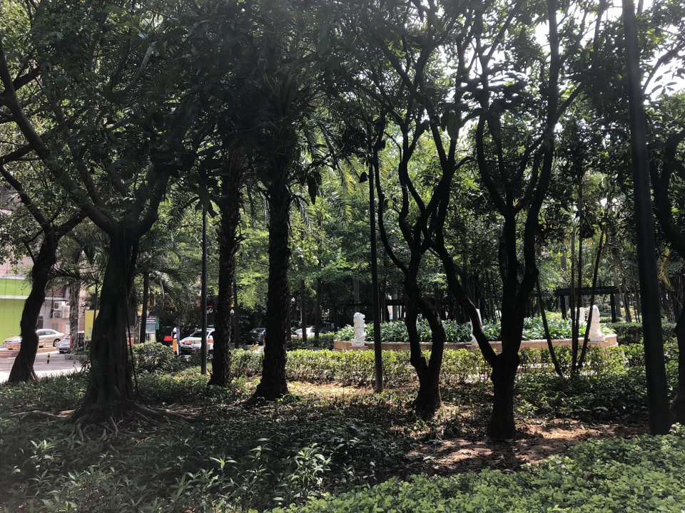 luohu san heng si zong streetscape upgrading china by sed landscape architect