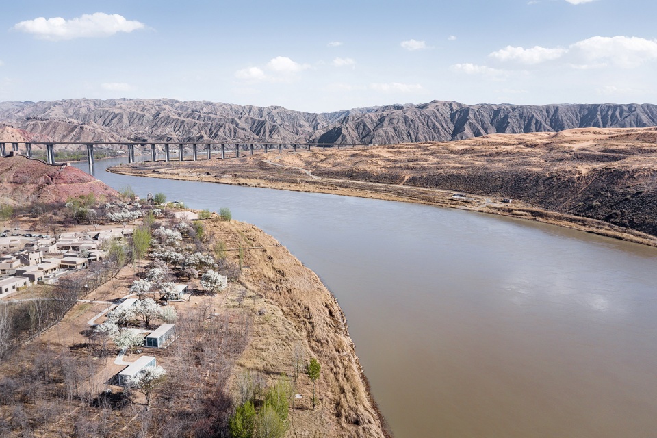 stray bird yellow river china by studio qi
