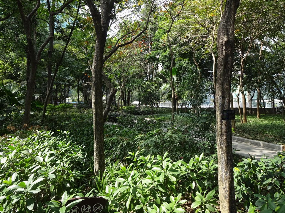 luohu san heng si zong streetscape upgrading china by sed landscape architect