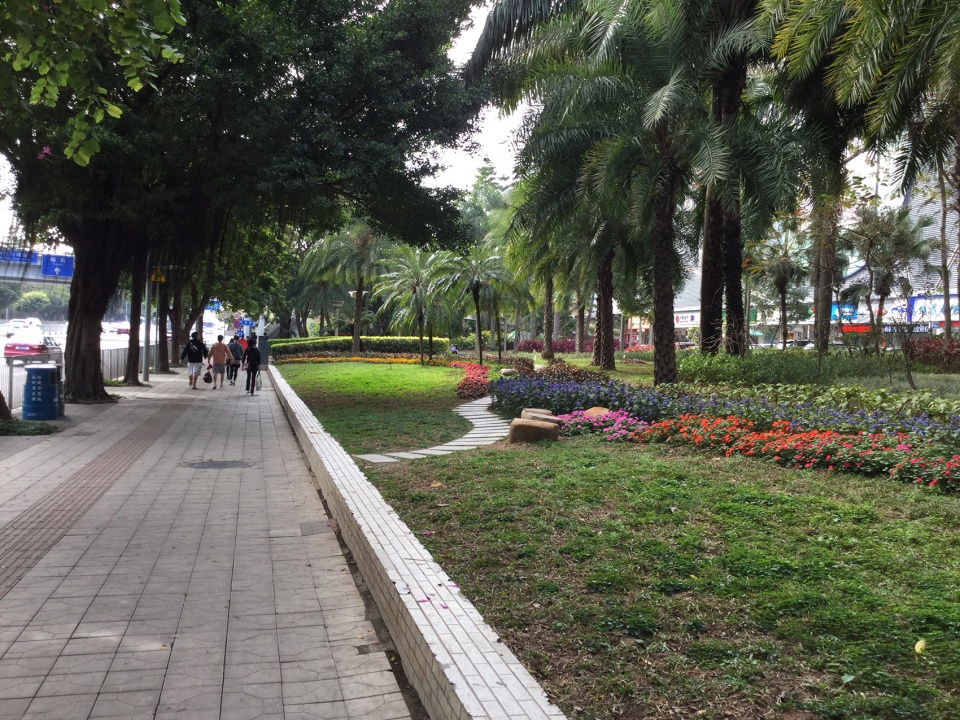 luohu san heng si zong streetscape upgrading china by sed landscape architect