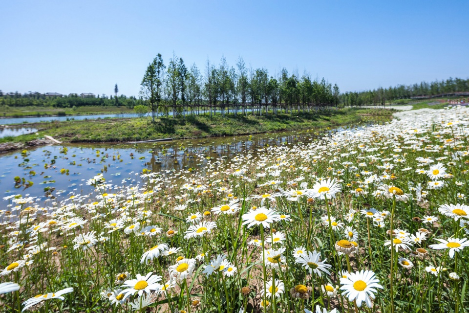 feng river wetland environmental design in xian china by gvl group