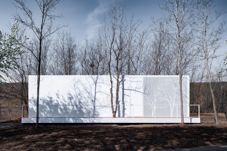 stray bird yellow river china by studio qi