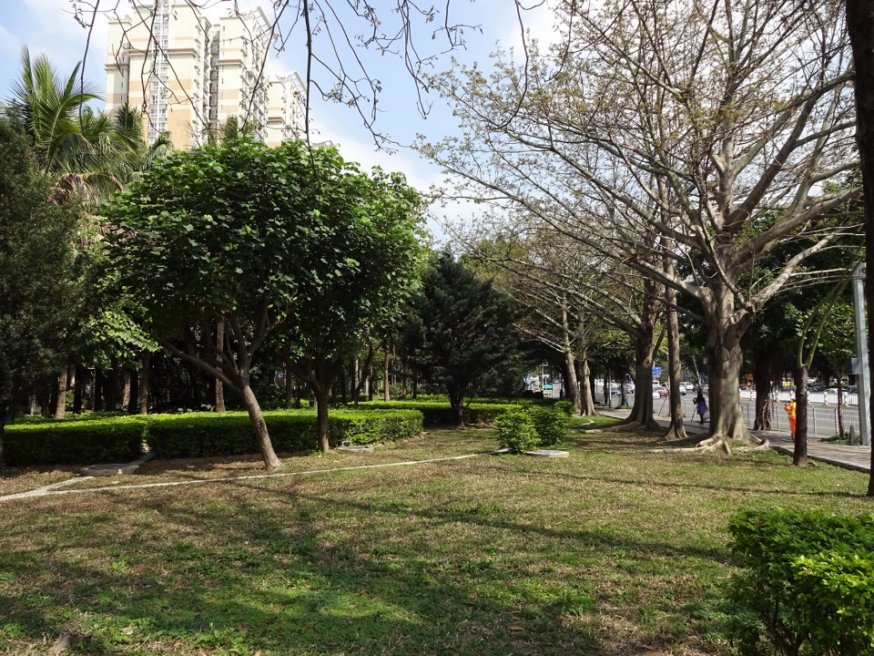 luohu san heng si zong streetscape upgrading china by sed landscape architect