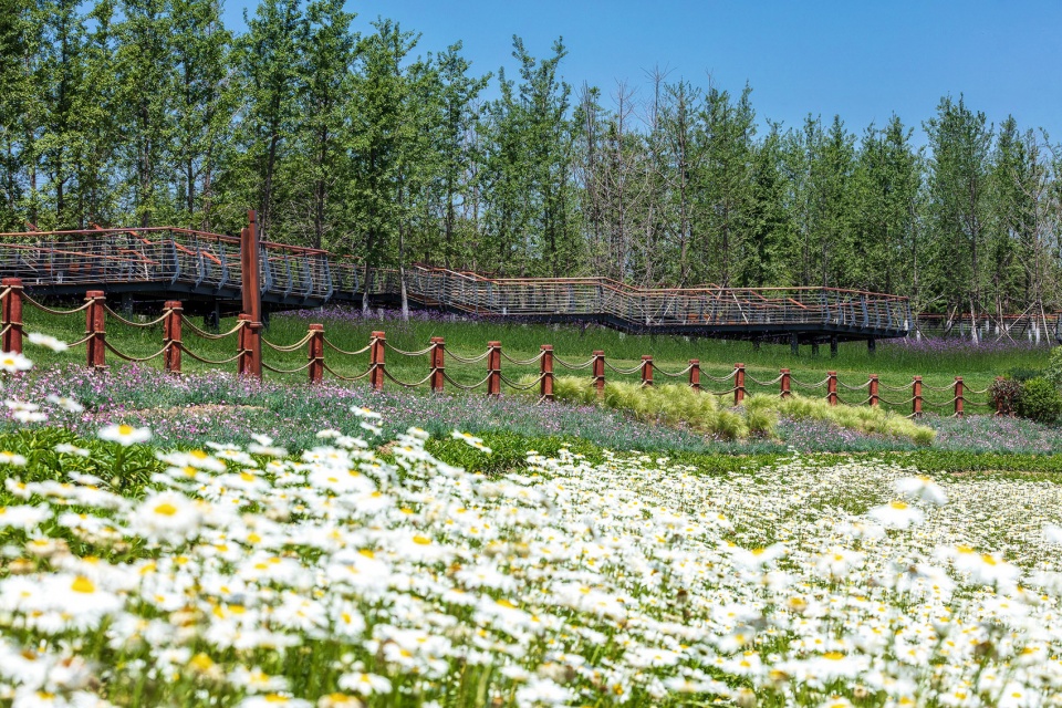 feng river wetland environmental design in xian china by gvl group