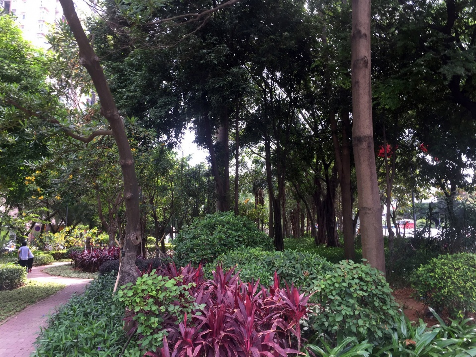 luohu san heng si zong streetscape upgrading china by sed landscape architect