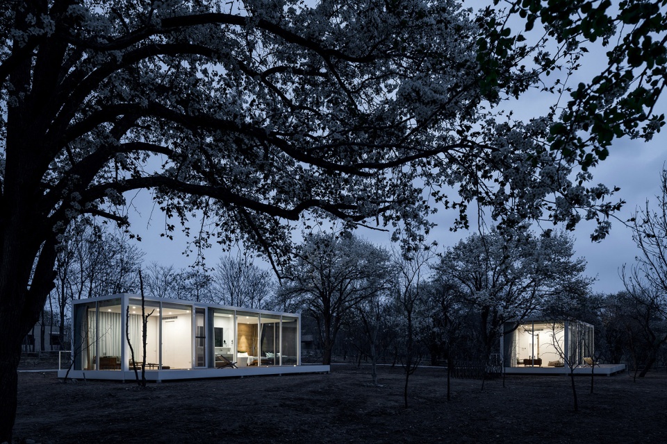 stray bird yellow river china by studio qi