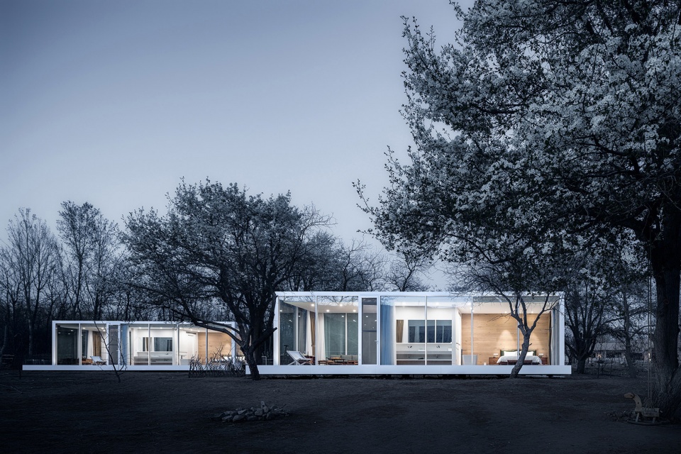 stray bird yellow river china by studio qi