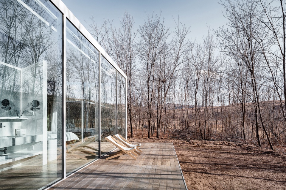 stray bird yellow river china by studio qi