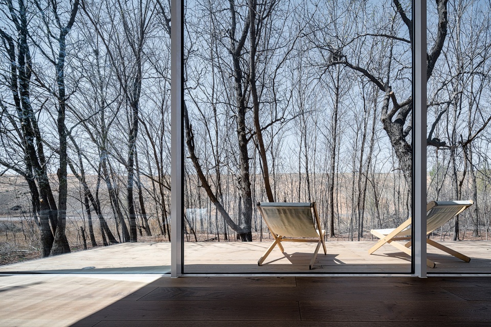 stray bird yellow river china by studio qi
