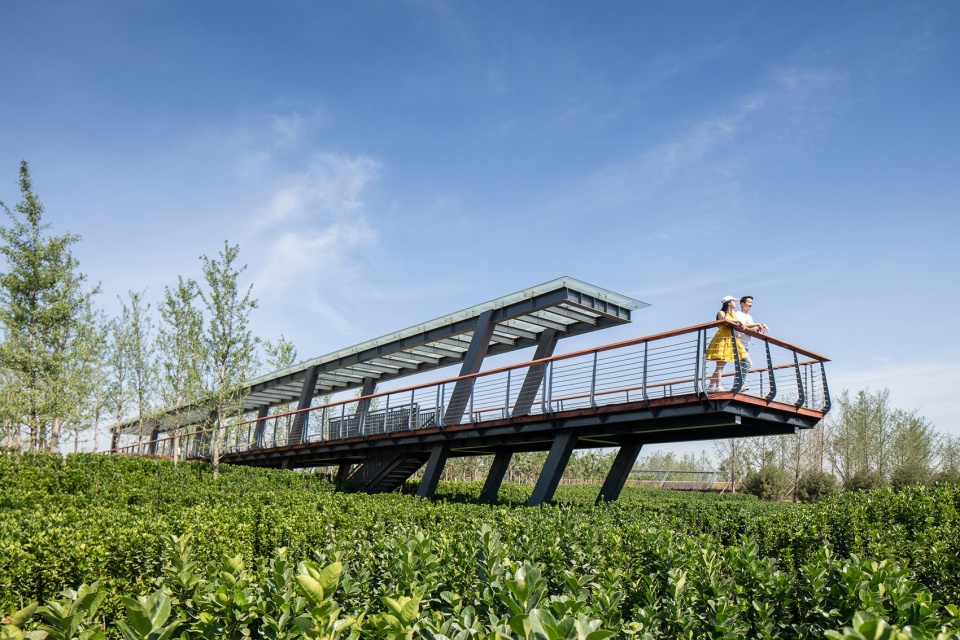 feng river wetland environmental design in xian china by gvl group
