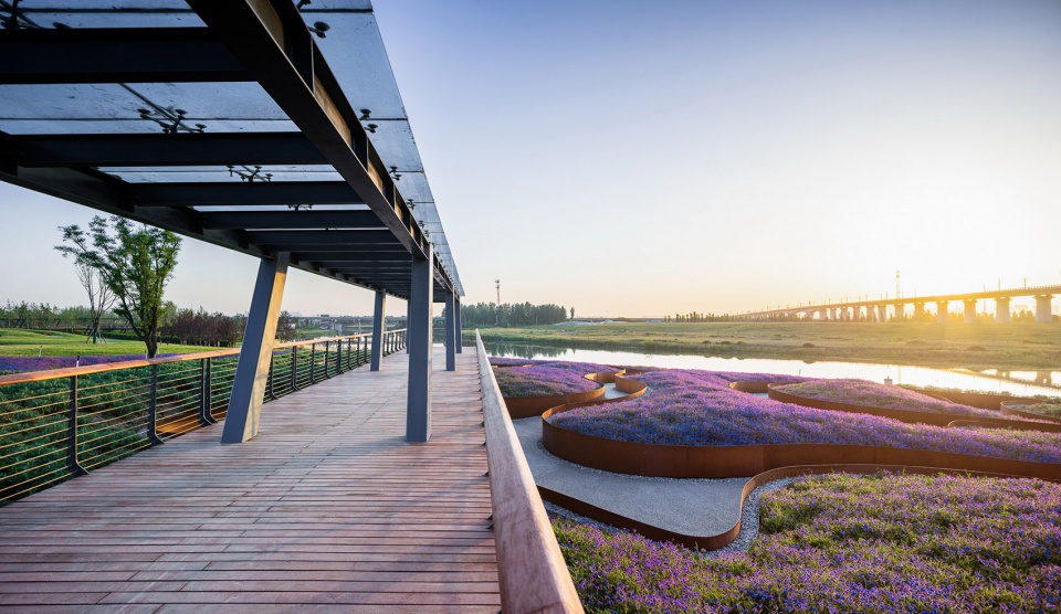 feng river wetland environmental design in xian china by gvl group