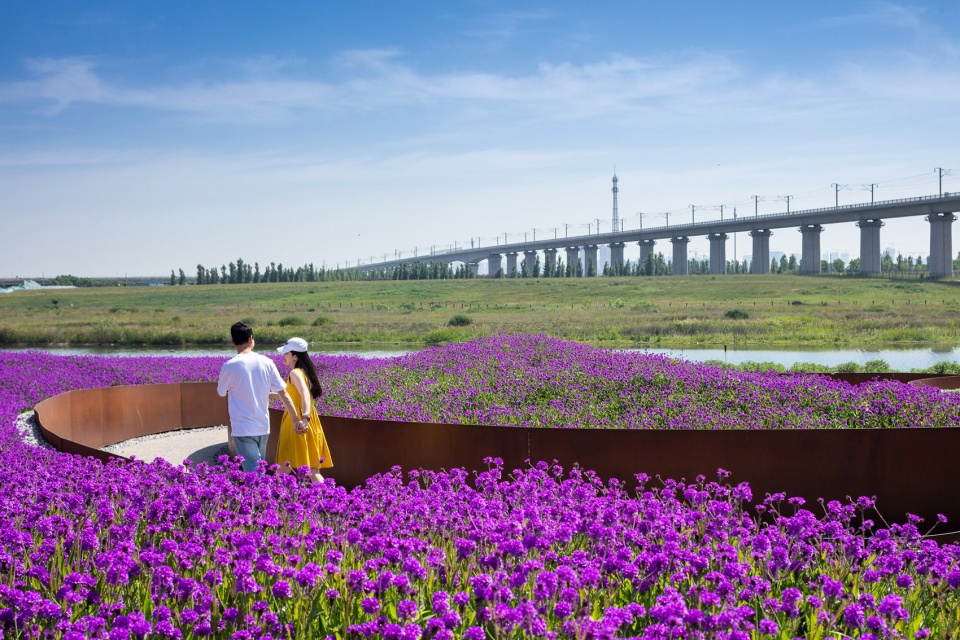 feng river wetland environmental design in xian china by gvl group