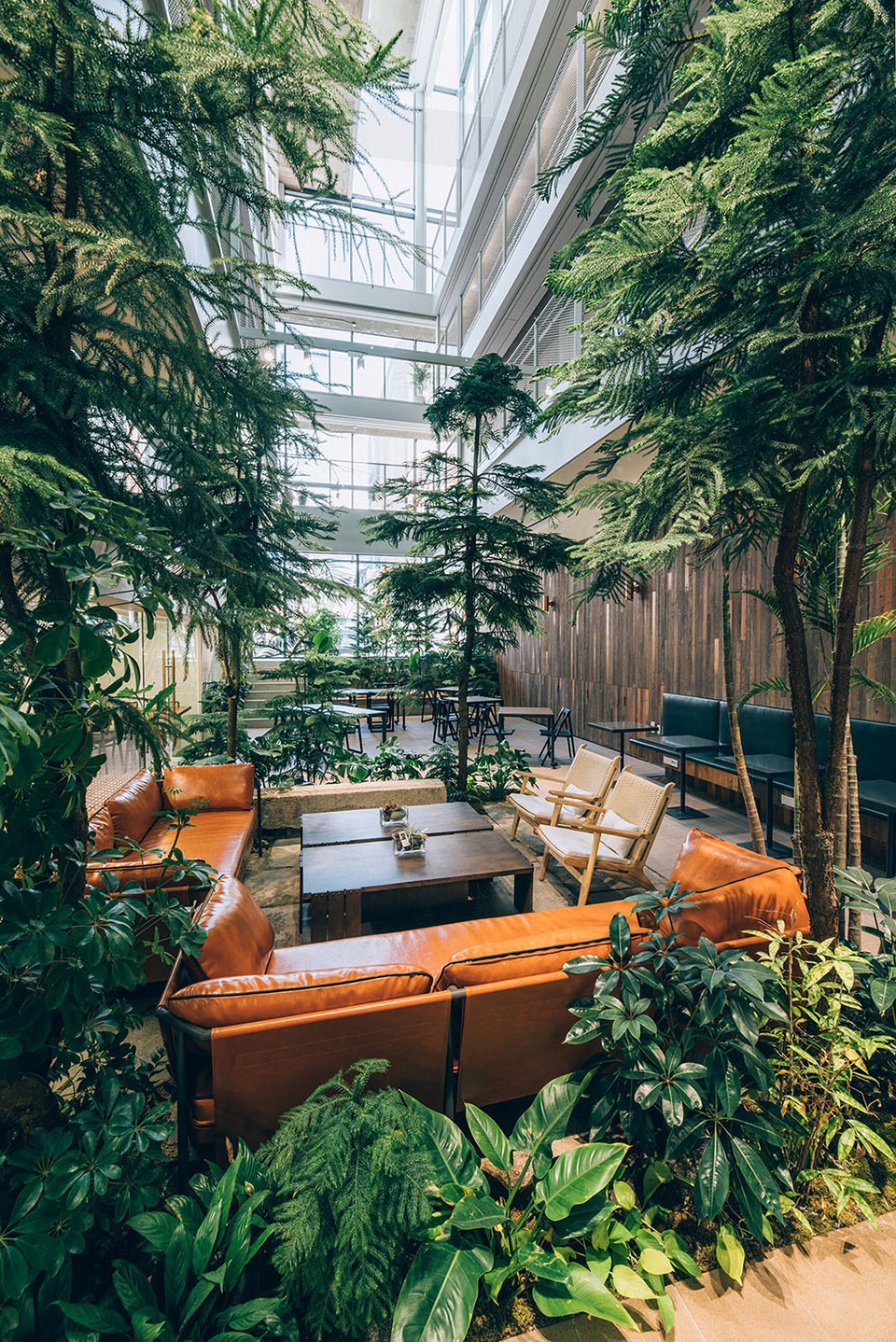 treehouse coliving by bo da architecture