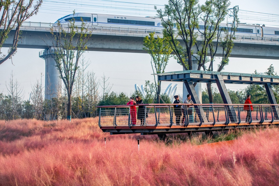 feng river wetland environmental design in xian china by gvl group
