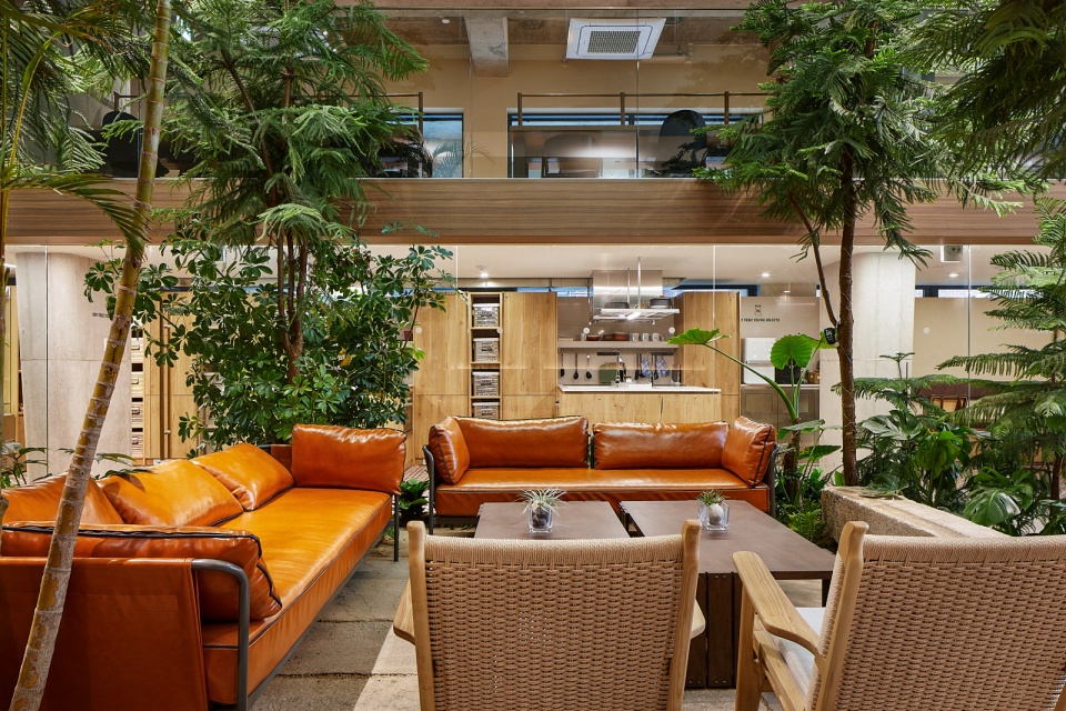 treehouse coliving by bo da architecture