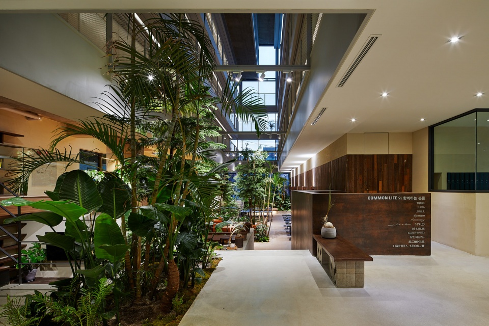 treehouse coliving by bo da architecture