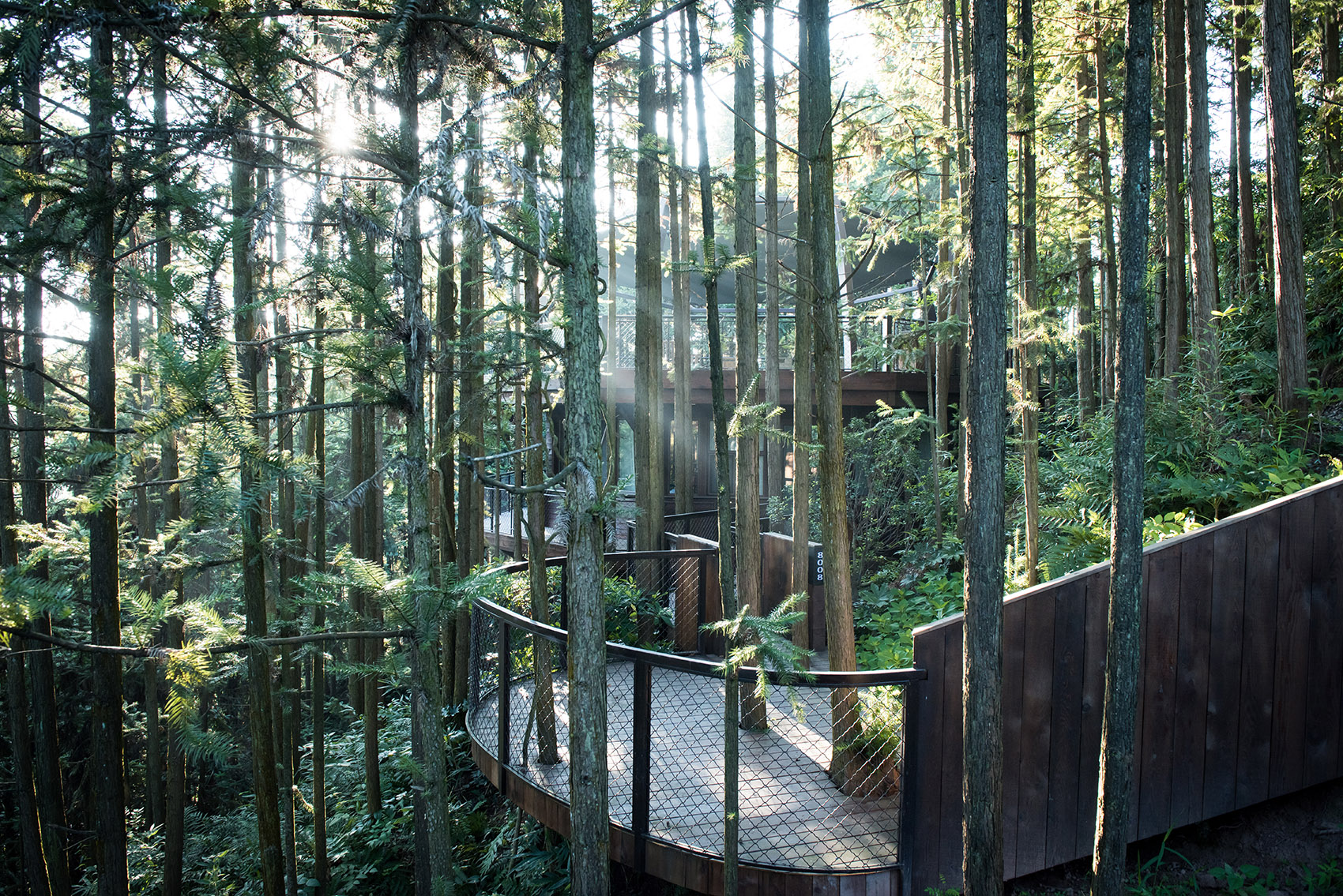 齐云山树屋世界,安徽 / 纬图设计机构   上海境澜建筑设计有限公司