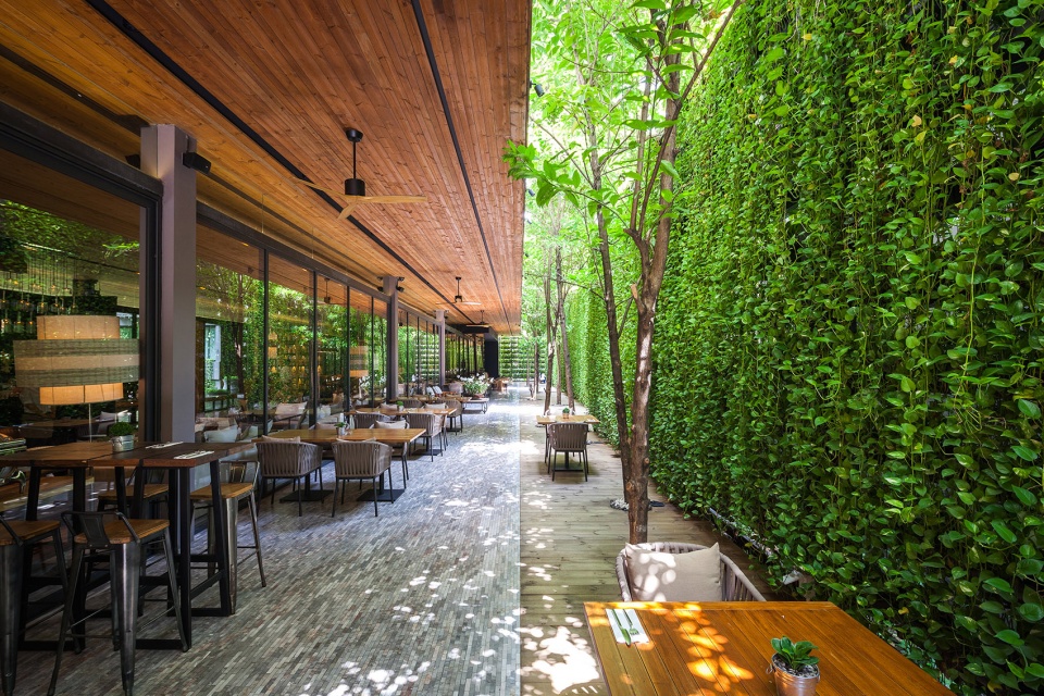 under the ficus shade the garden of ad lib hotel