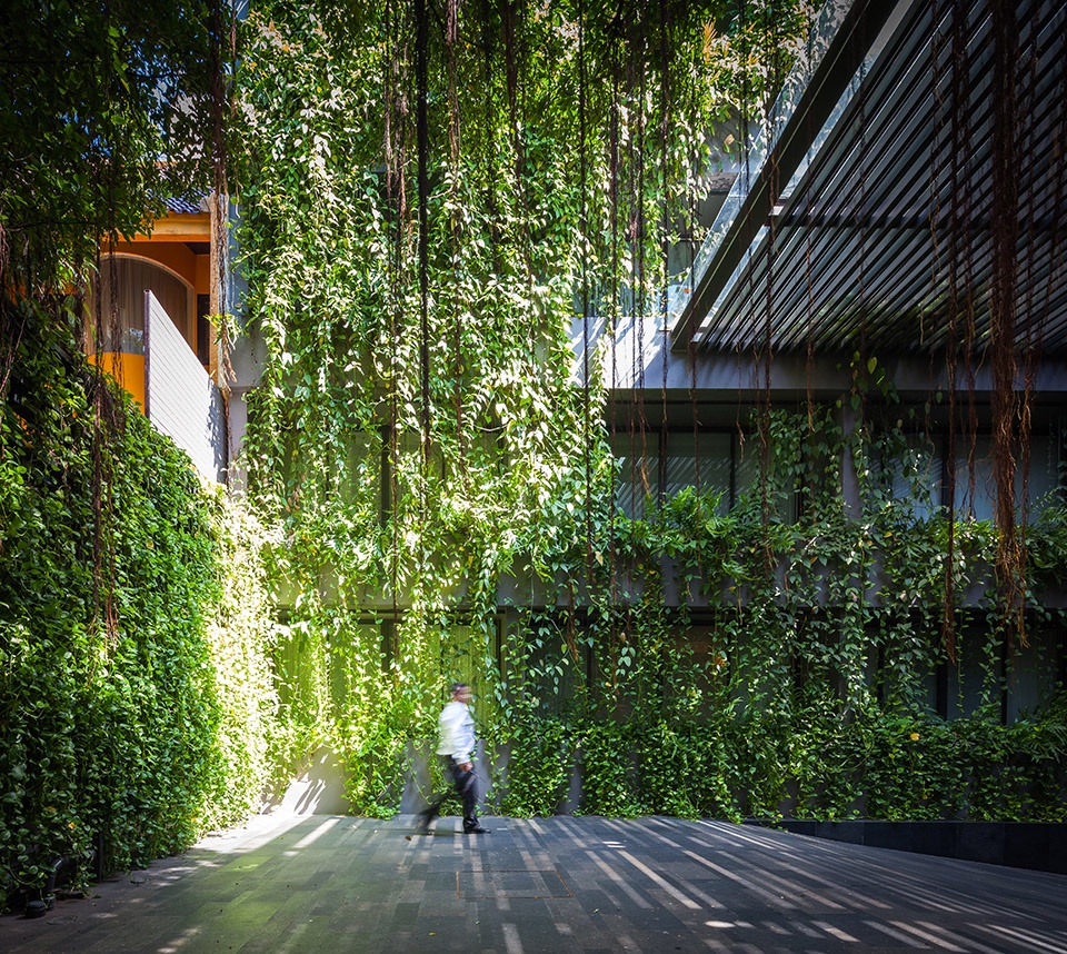 under the ficus shade the garden of ad lib hotel