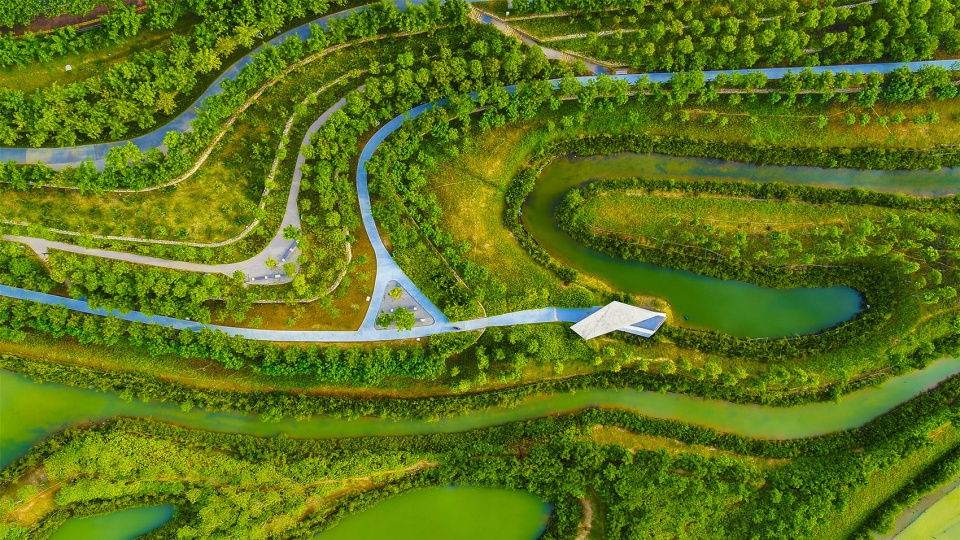 sanya mangrove park china by turenscape