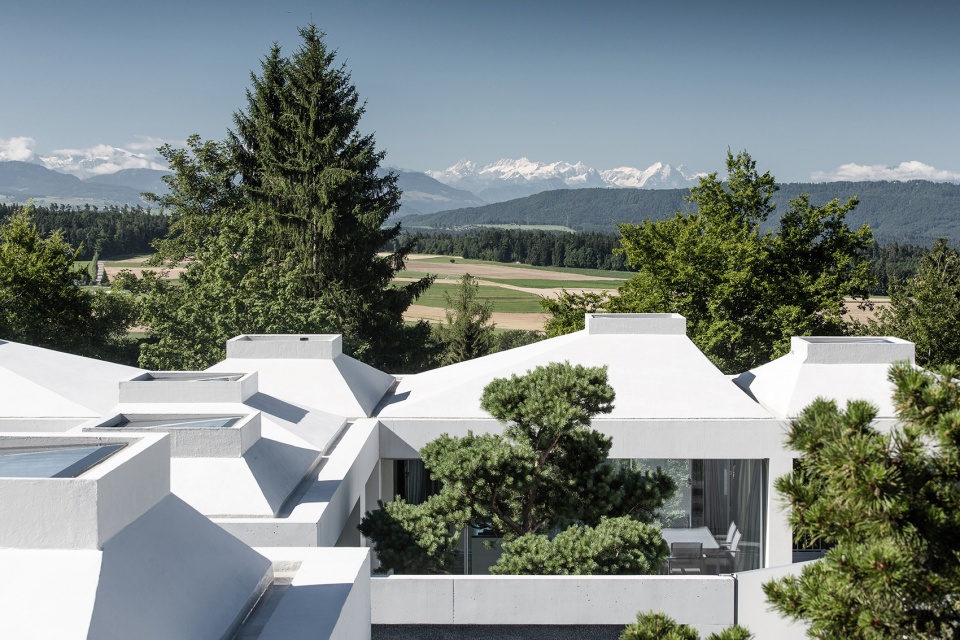 courtyard houses in zumikon by think architecture