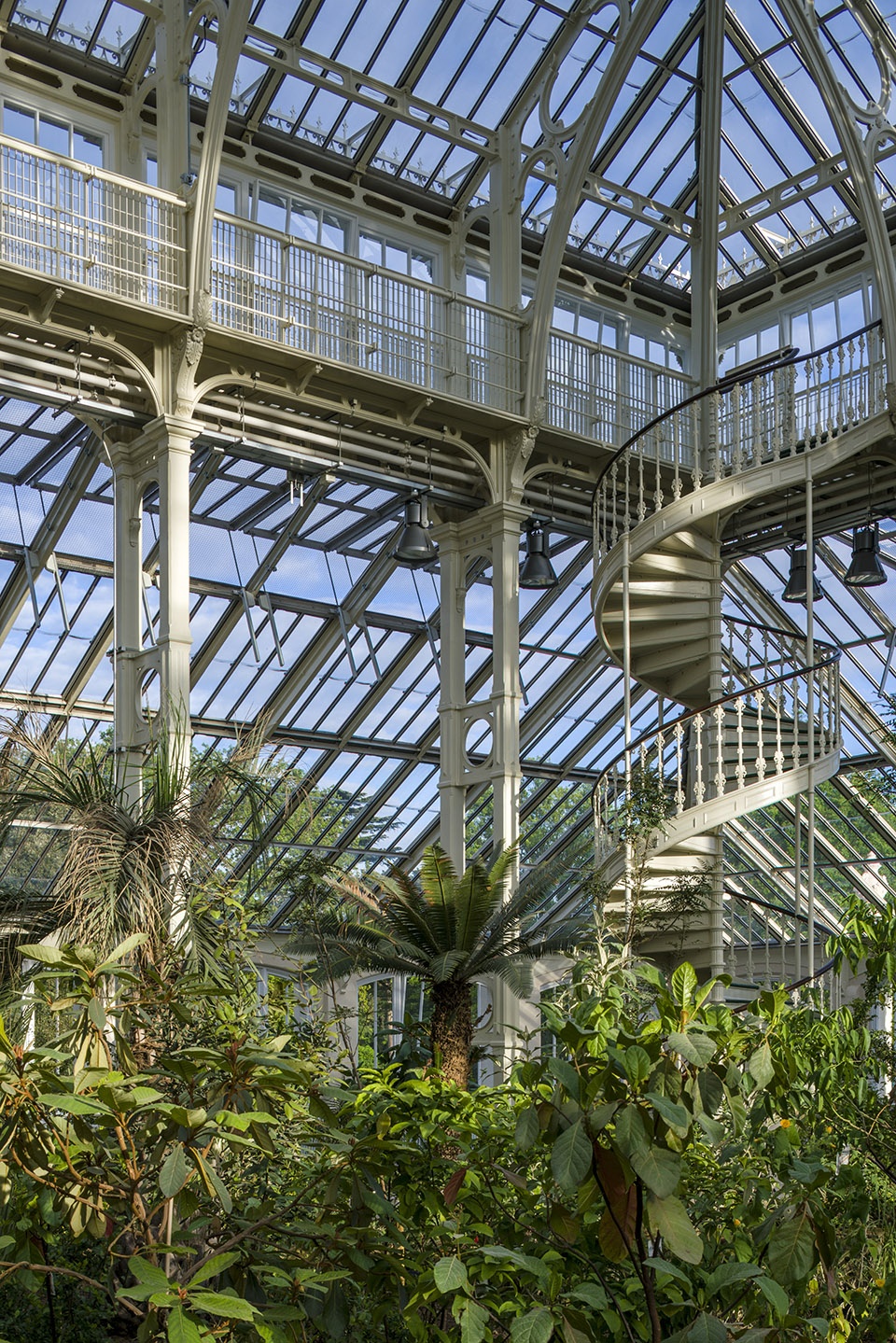 temperate house conservation by donald insall associates