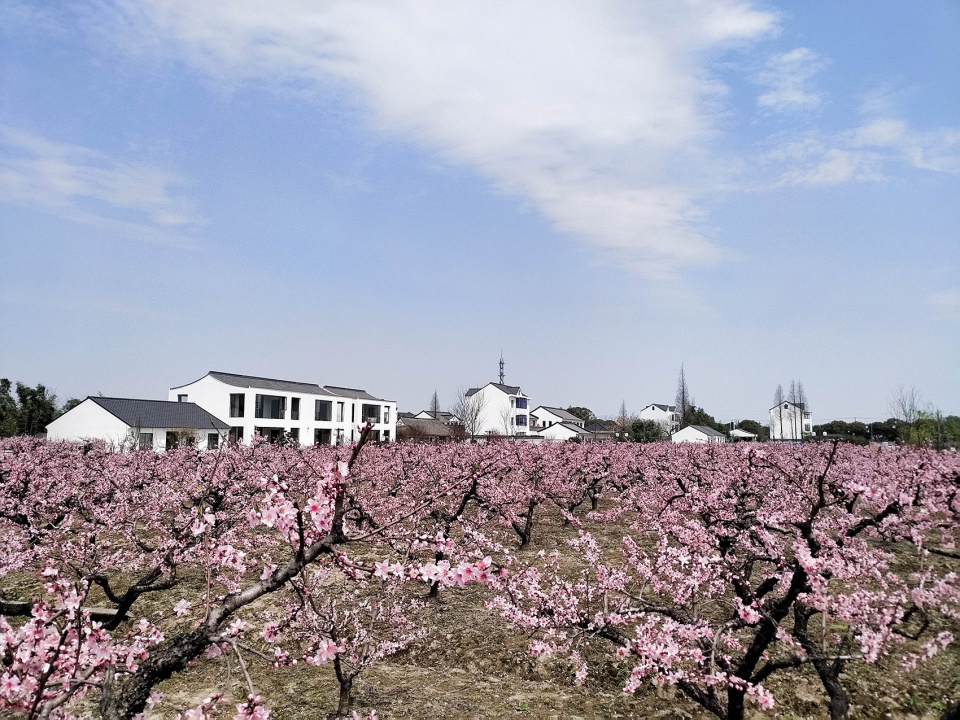 WuFang village caaladi
